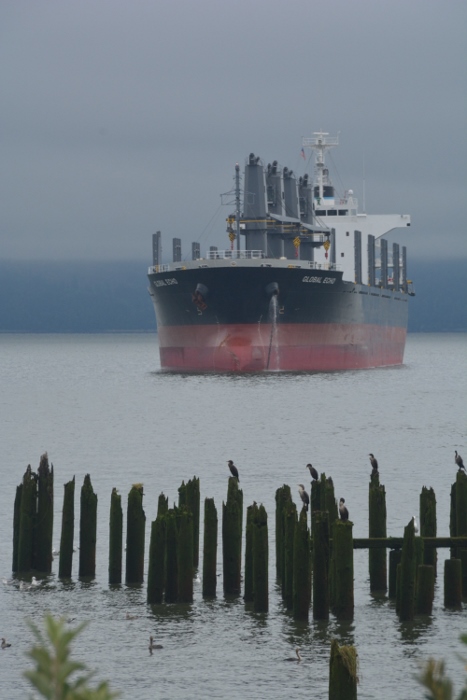 freighter ship at sea
